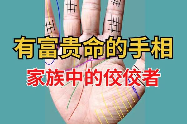揭秘富贵命的指纹特征与命运关系