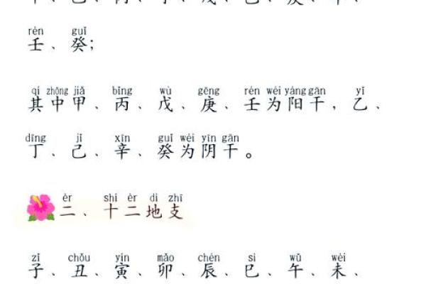 生辰八字中的天干地支如何解读