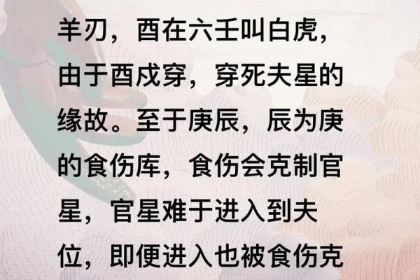 三命的含义及其在命理学中的重要性解析