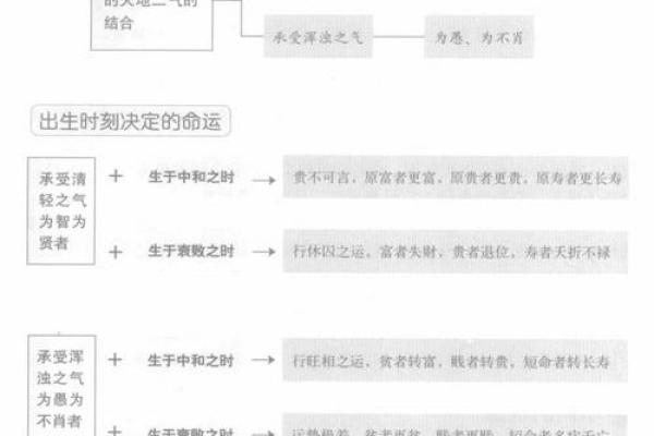 三命的含义及其在命理学中的重要性解析