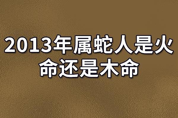 什么是木命：探秘命理中的木元素与人生运势