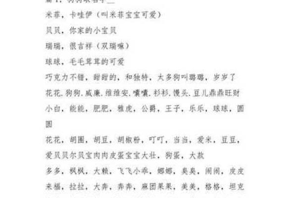 喜命的定义与如何通过命理提升生活质量