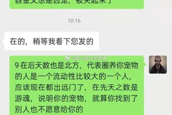 喜命的定义与如何通过命理提升生活质量