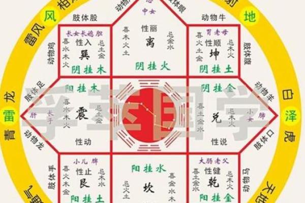 探索生辰八字五行的奥秘：命理学中的核心要素