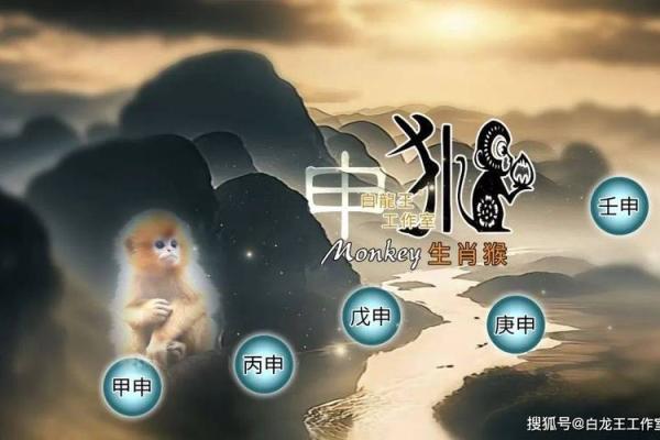 生肖猴整体运势解析与发展机遇