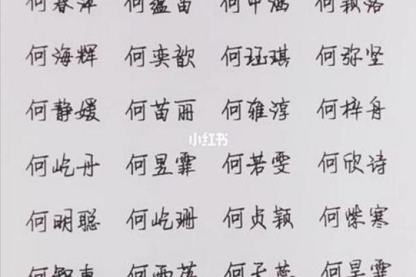 免费起名打分平台，轻松找到幸运的名字