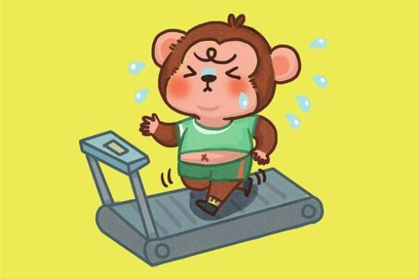 猴今日运程：心情愉快，适合拓展人脉与合作