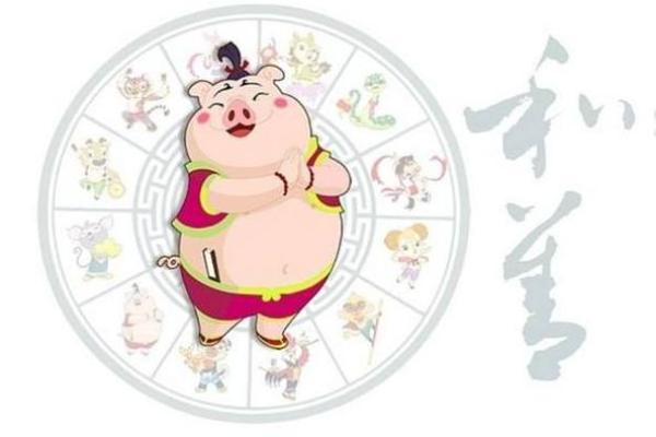 对女猪的运势影响与建议