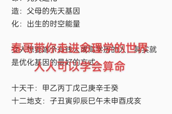 胎命的含义及其在命理学中的重要性解析
