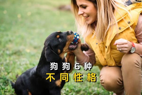 适合不同性格狗狗的名字推荐