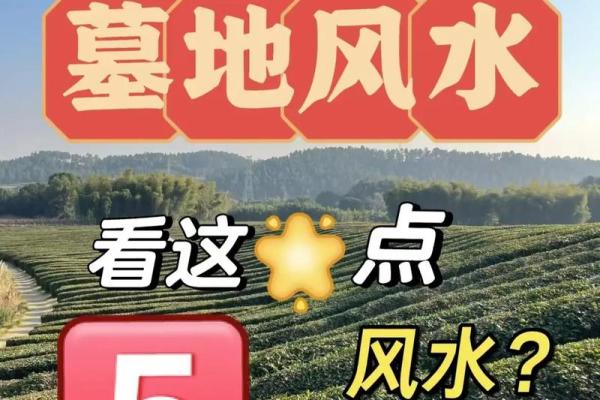 坟地风水禁忌与选择指南