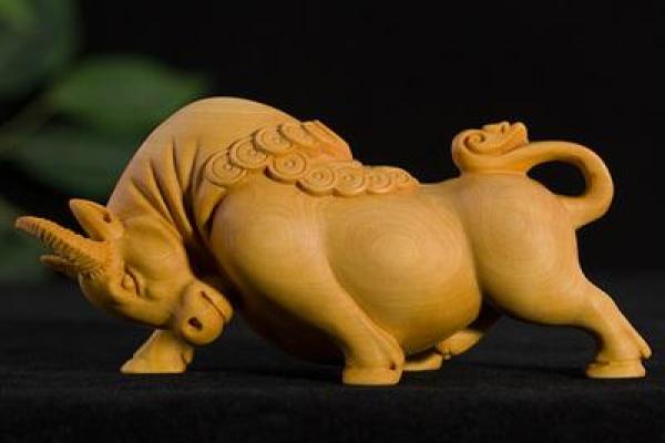 如何利用黄杨树优化家居风水运势
