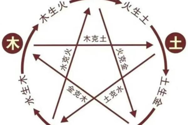 庭字五行属性解析与命理影响