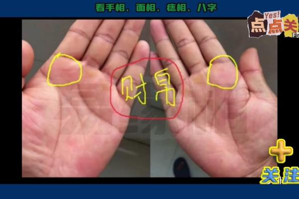 手型与财富命运：揭示富贵命的掌中之道