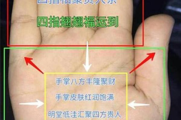 手型与财富命运：揭示富贵命的掌中之道