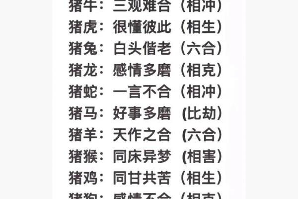 女兔男鸡婚姻配对分析：是否天作之合？