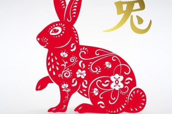 属兔每月运势全解析