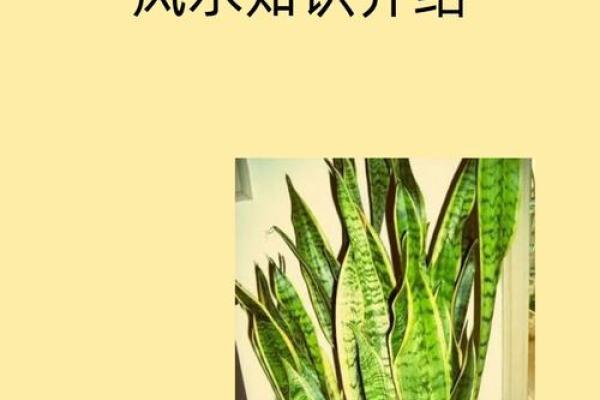 平字五行属性解析及其在命理中的影响