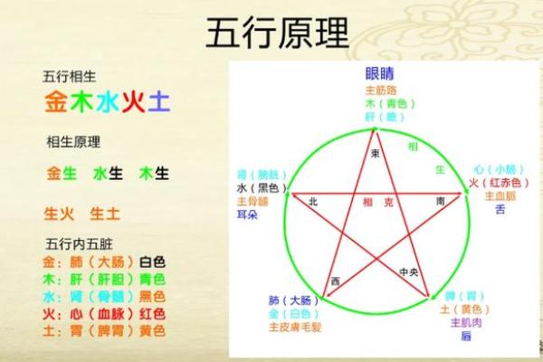 命水与八字命理中的五行相生相克