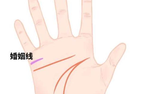 八字与婚姻幸福度：从命理看婚姻长久的秘诀