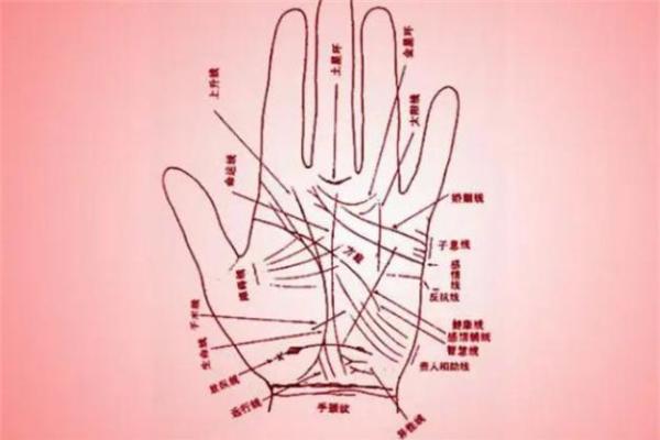 八字与婚姻幸福度：从命理看婚姻长久的秘诀