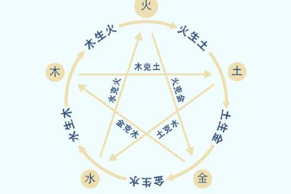 如何理解阴命阳命的命理学说