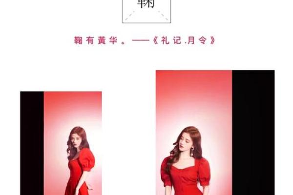 命运背后的秘密：名字与人生道路的关联