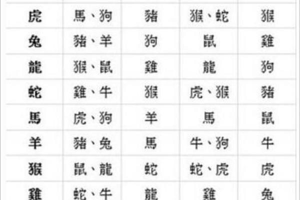 生肖配对表揭秘：了解你与伴侣的缘分关系