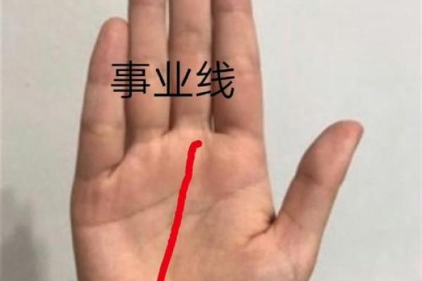 掌纹揭秘：什么手型的人最有富贵运
