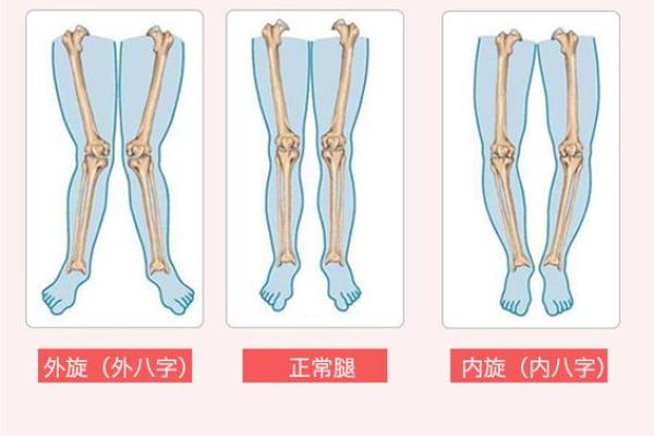 八字脚图片集锦：从形态看八字脚的不同表现