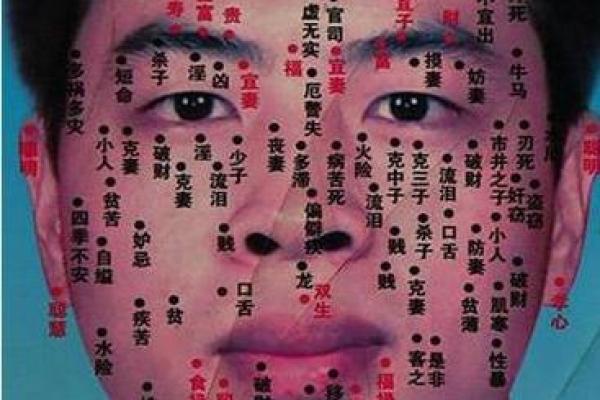 出生七月的命运解析与运势特点