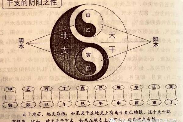 女性八字中的阴阳平衡：如何调整命运中的不利因素