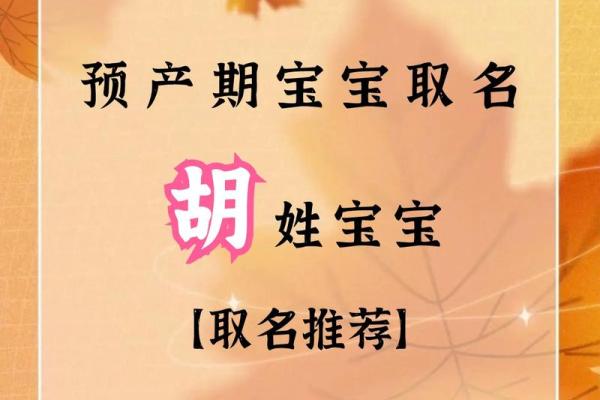 胡姓人的命运与名字的巧妙联系