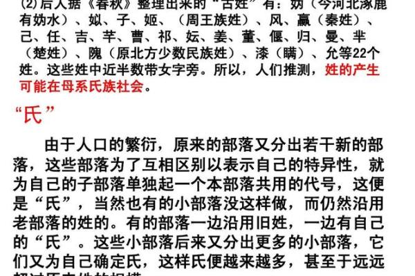 曹字的历史渊源与文化象征