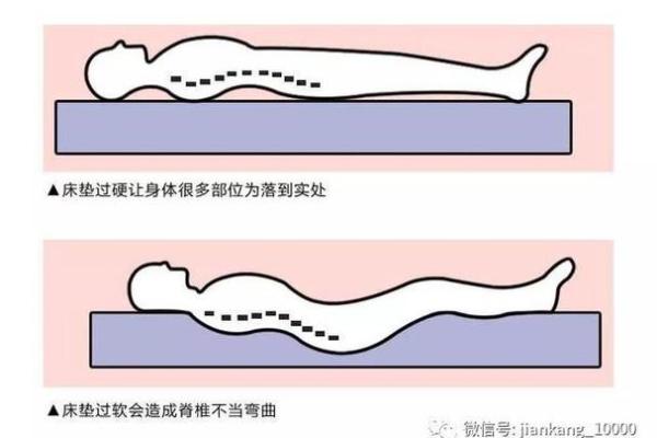 为什么说男人的生命力与腰部息息相关