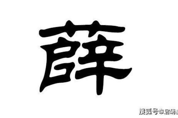 薛姓宝宝起名禁忌与注意事项