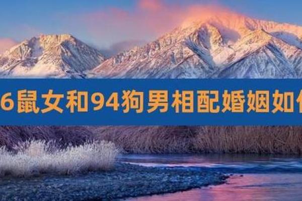 属鼠男和属狗女：命运注定的爱情配对吗？
