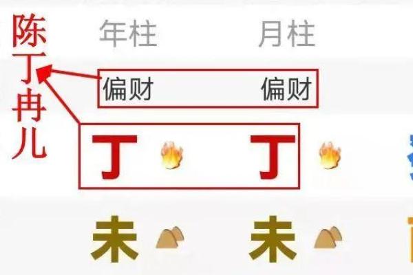 张字的五行属性解析及其命理影响