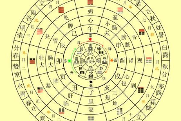 出生属马人的五行命理与运势走势