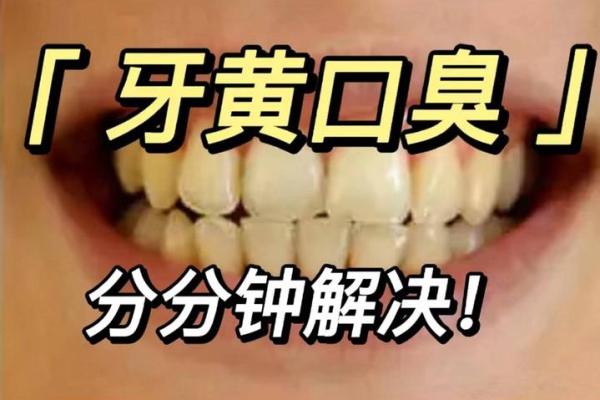 如何改善口臭问题，从牙齿做起