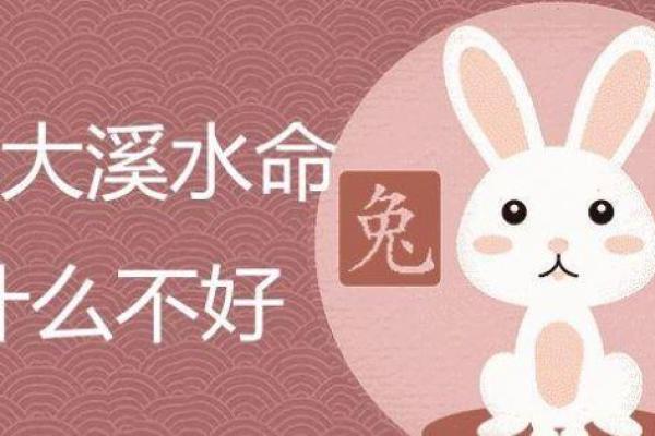 水命与水命夫妻能否相配 解析两者婚配的利弊与挑战