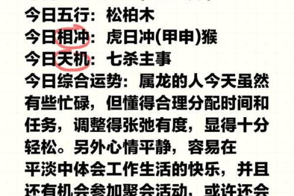属龙的你运势如何？全面解析未来一年