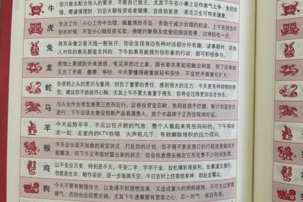 猪人每月运势解析与运程预测