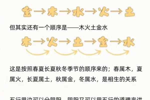 有字的五行属性解析及其意义