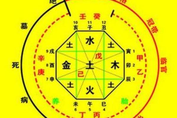 强字五行属性解析与命理影响