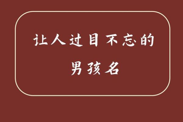 罗姓起名风格：传统与创新的完美融合