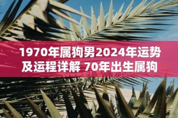 属狗人运势起伏及应对策略