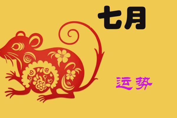 探秘鼠年运程：生活与事业的好运与风险