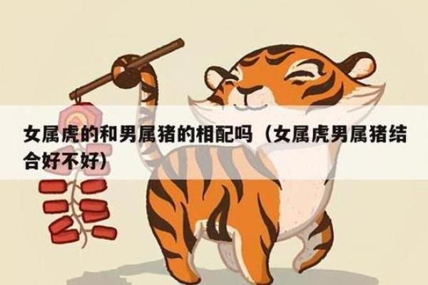 属虎女与属猪男的爱情配对解析