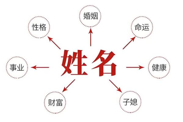 出生的人属什么命？详解其命运特点和五行分析